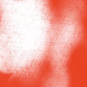 Projet expérimental – Exposition « Un essaim dans l’orage