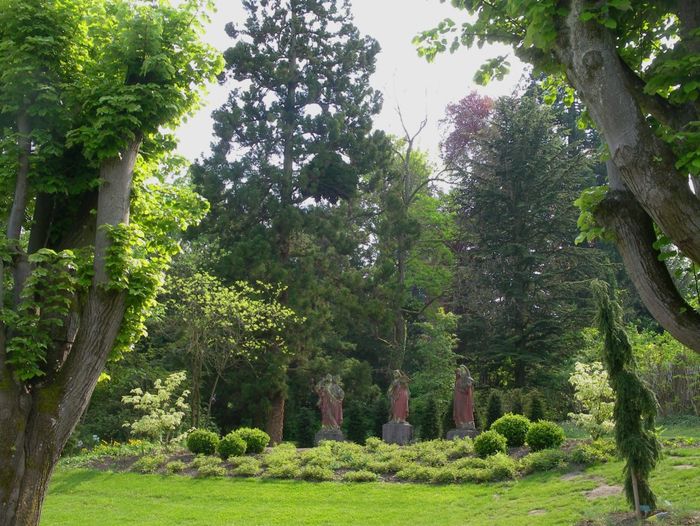Visite guidée botanique « 150 ans de plantations dans le Parc »