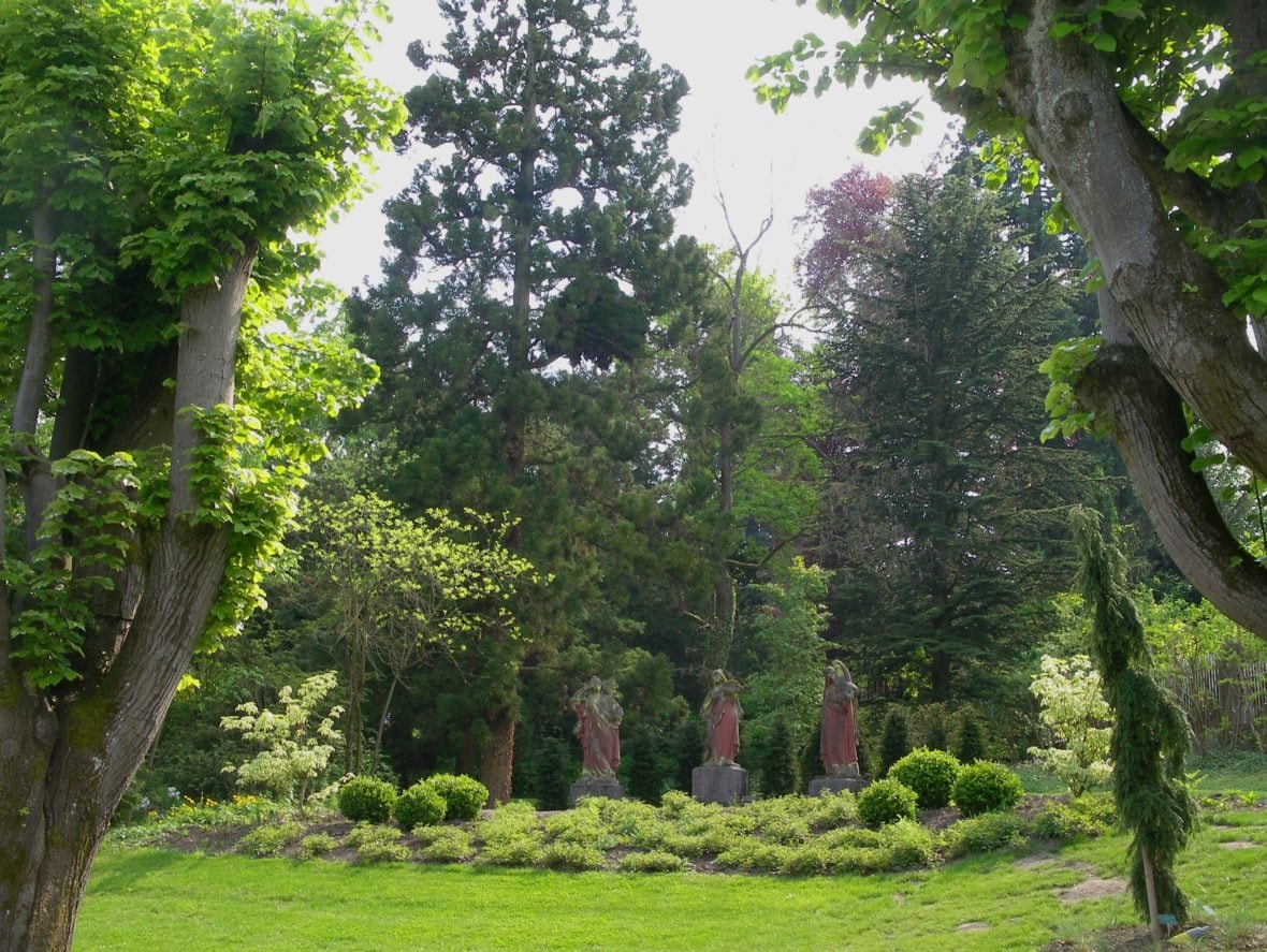 Visite guidée botanique « 150 ans de plantations dans le Parc »