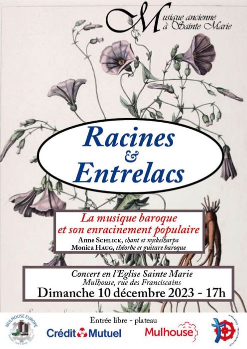 Racines et Entrelacs