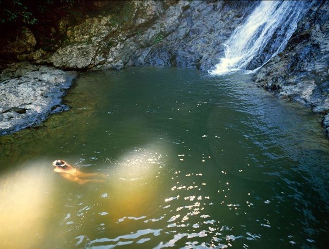 Exposition anniversaire : Biennale de la Photographie de Mulhouse