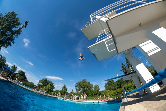 Piquer une tête au Stade nautique