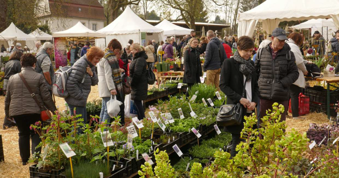 Marché aux Plantes