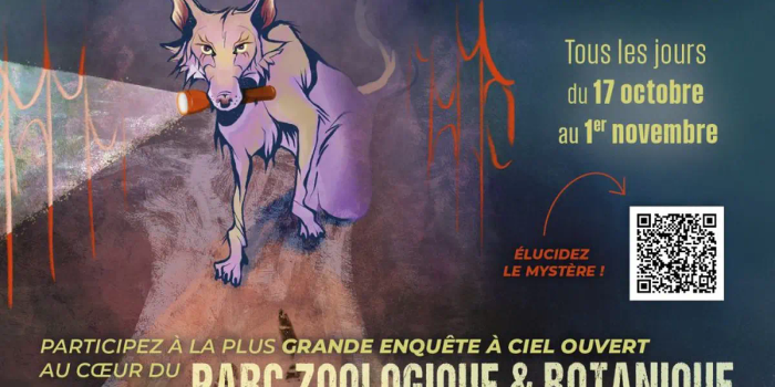 Le Sanctuaire des Brumes