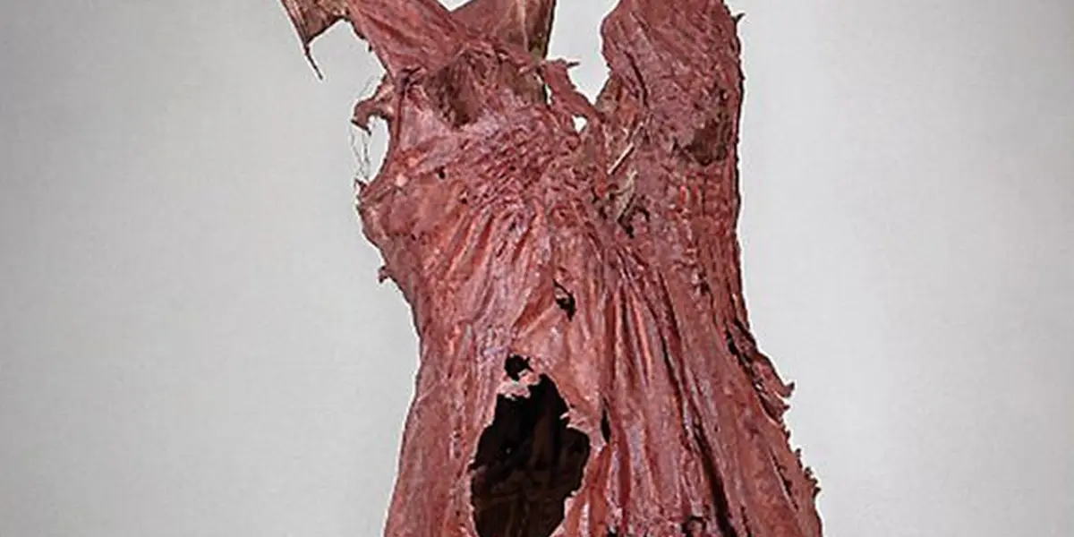 Et l'on portera les restes du monde + Ephrem Mathé