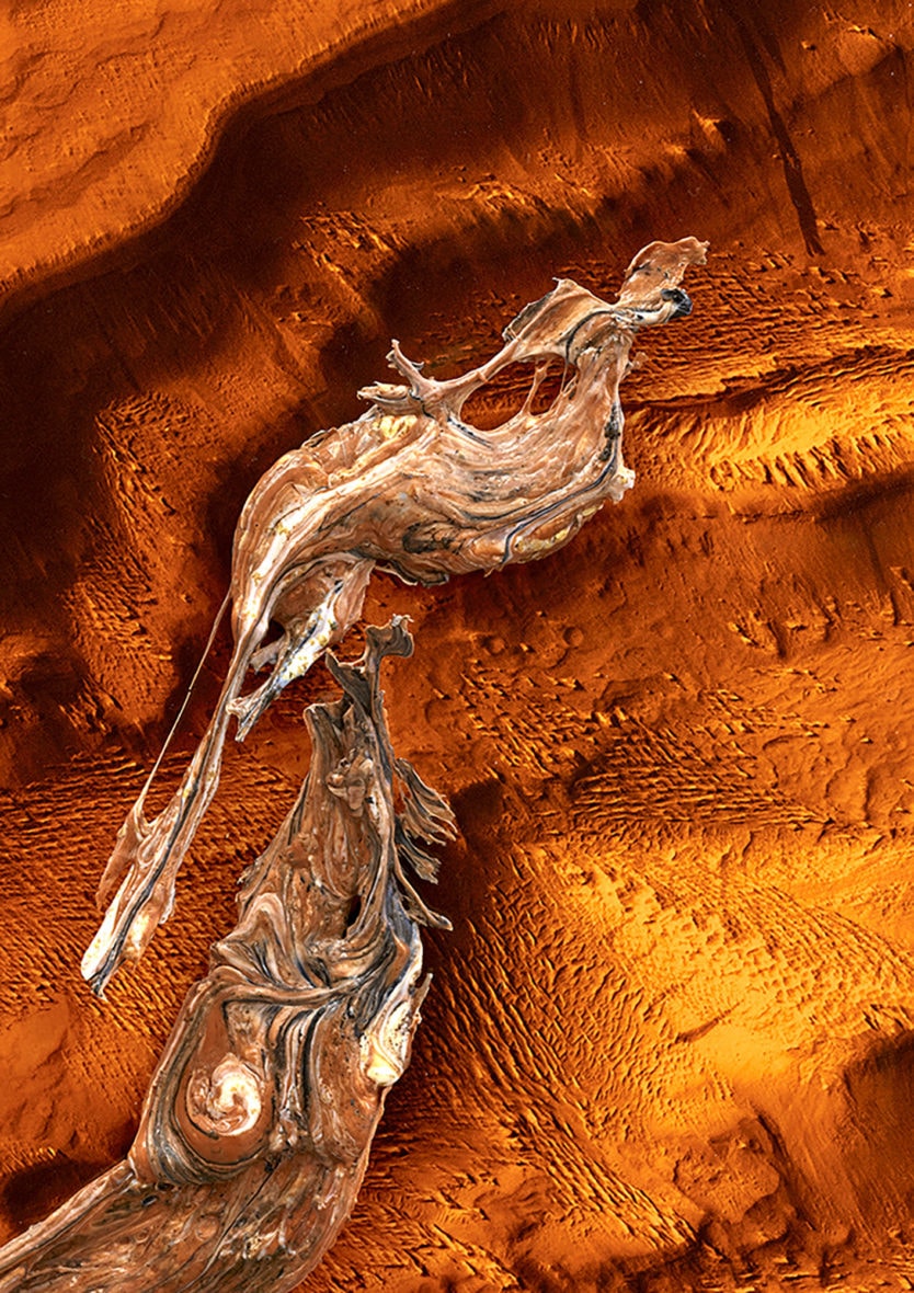 Dialogue autour des œuvres - Fête de la science