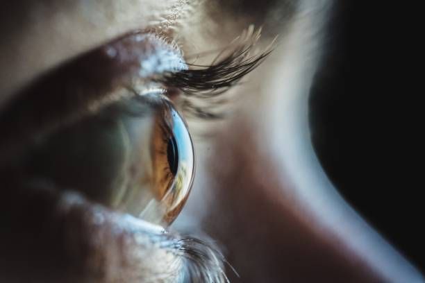 Dépistage des maladies de la vue liées à l'âge
