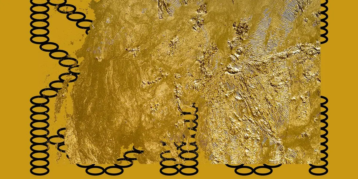 "Persistances" - Hassan Darsi
