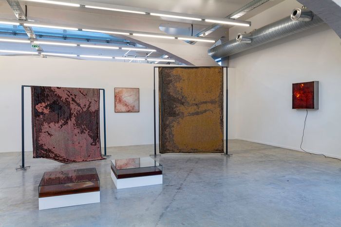 Visite commentée de l'exposition "Alchimia Nova"