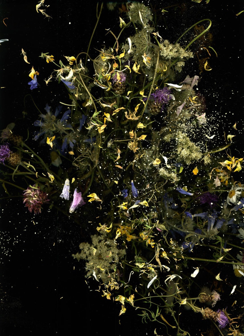 GLISSEMENTS PROGRESSIFS DU RÉCIT