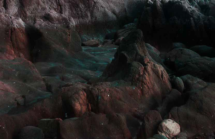 Biennale de la photographie