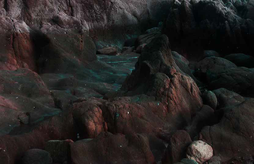 Biennale de la photographie