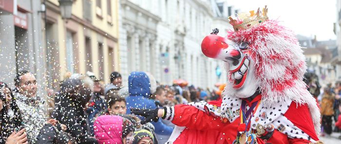 67e Carnaval de Mulhouse
