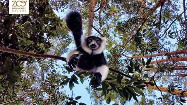 Week-end Madagascar
