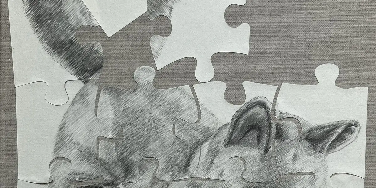 Nouvelle Exposition de Inga IKONEN au Museum GERBO de Mulhouse