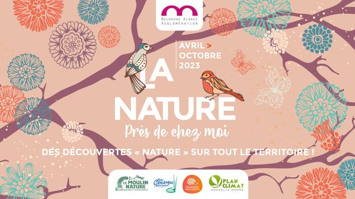 La nature près de chez moi