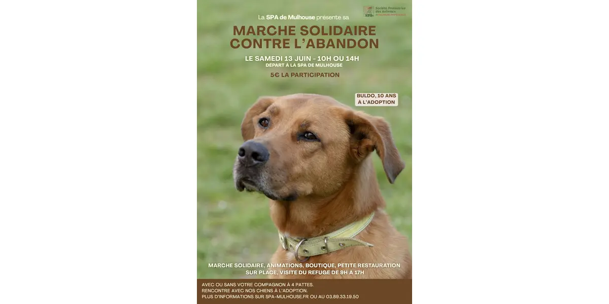 Marche solidaire contre l’abandon organisée par la SPA de Mulhouse