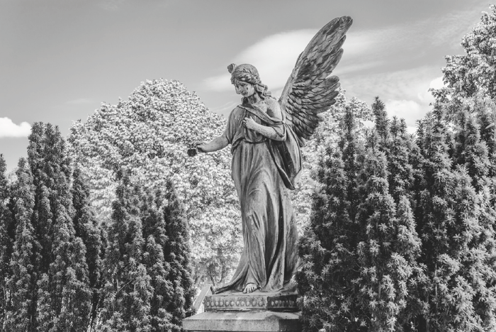 94 rue Lefebvre – Images du Cimetière