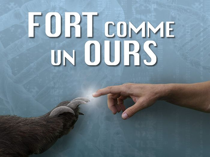 Projection-rencontre "FORT COMME UN OURS"