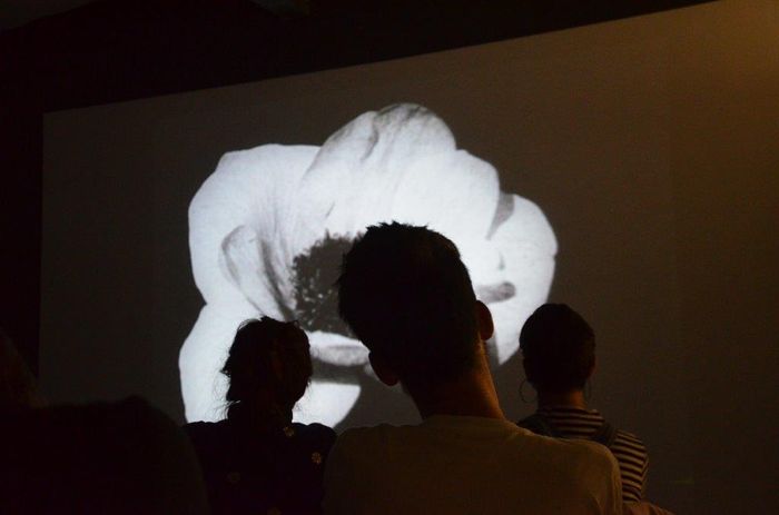 Kunstprojection