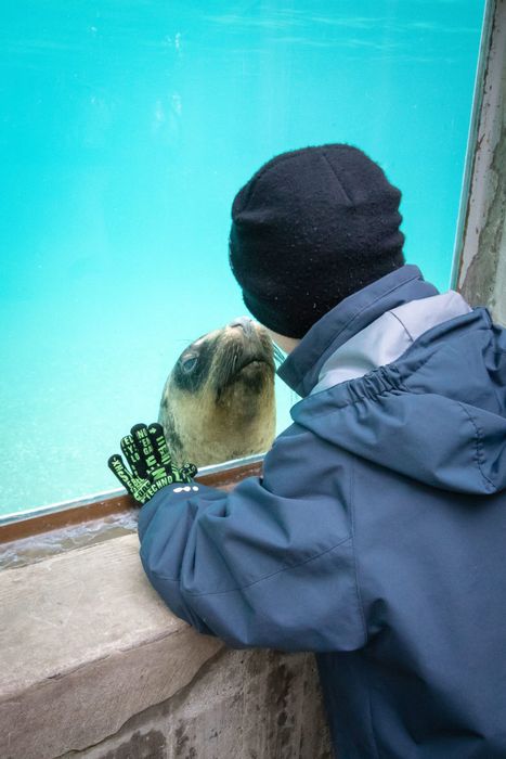 Visite guidée zoologique