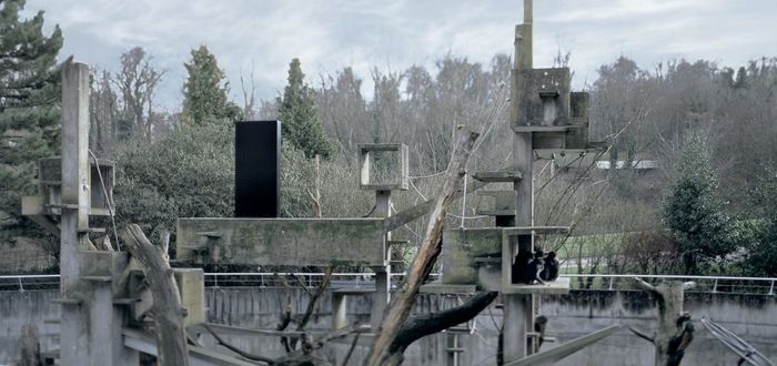 Nœuds Négatifs : une exposition personnelle d’Étienne CHAMBAUD