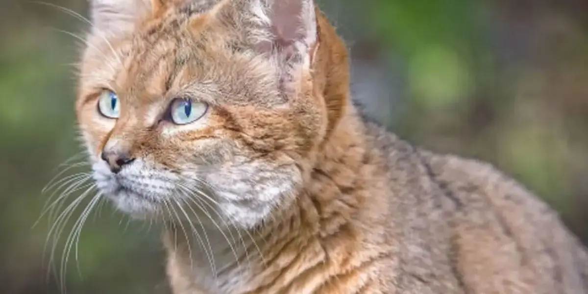Visite guidée au Zoo de Mulhouse : "Histoire de cacas"