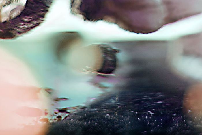 Régionale 19 | Navette pour le Kunsthaus Baselland