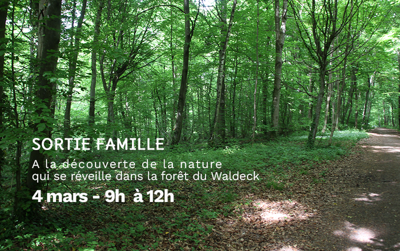 A la découverte de la nature qui se réveille