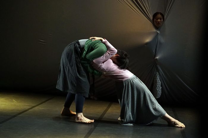 LA QUINZAINE DE LA DANSE