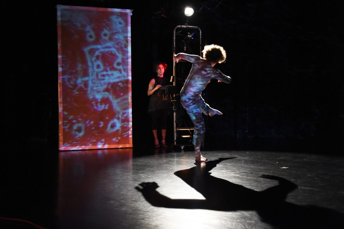 Zool 99 : Exiguus  - Compagnie Estro