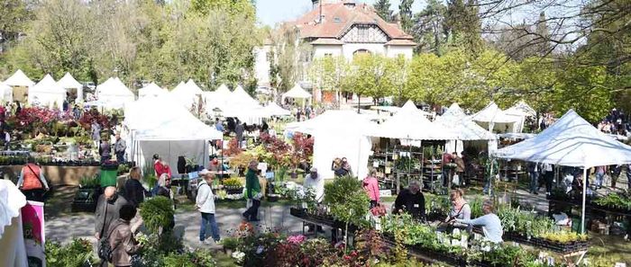 17e édition du Marché aux plantes