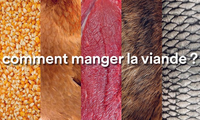 Comment manger la viande ? - Hui Zhang