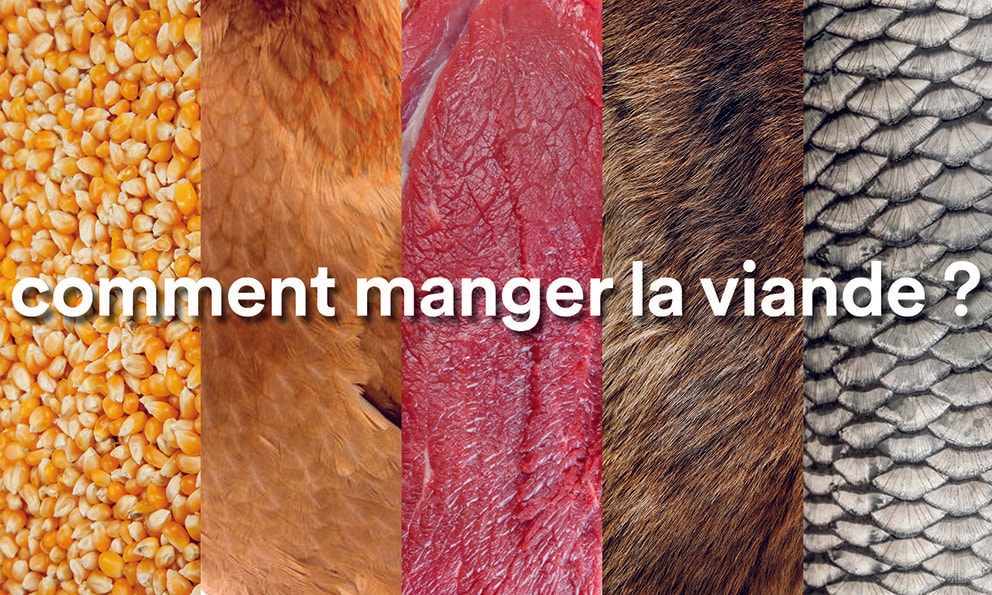Comment manger la viande ? - Hui Zhang