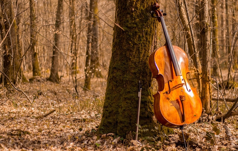 FLÂNERIE À DEUX VIOLONCELLES