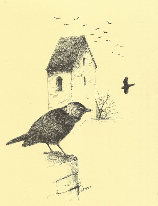 "Dessins Naturalistes de Christiane et Daniel DASKE"