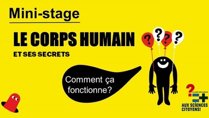 Mini-stage : le corps et ses secrets