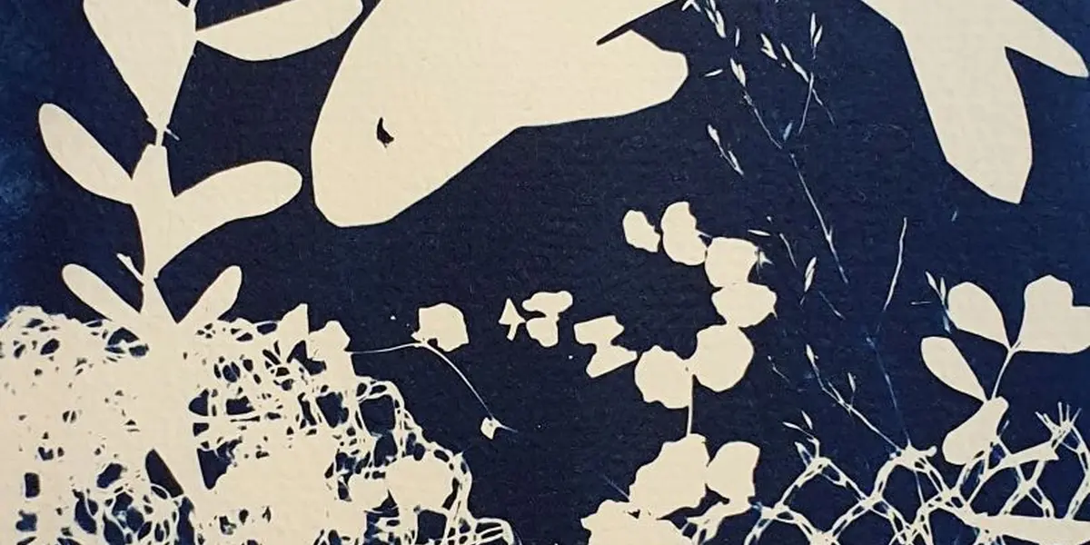 Cyanotype