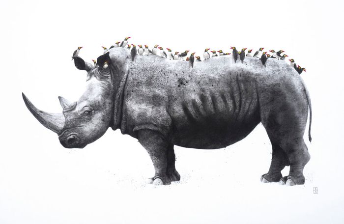 Animaux par Dominique Schoenig