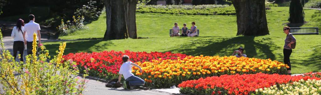 Ateliers d'été pour enfants