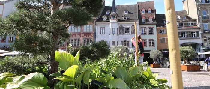 Le Jardin éphémère