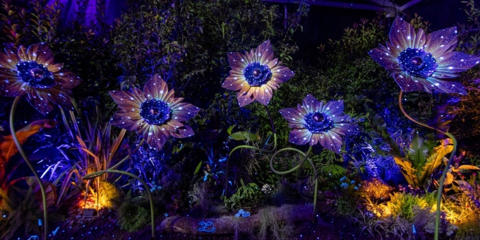 Street Flore, le jardin de street art floral au cœur de Folie'Flore