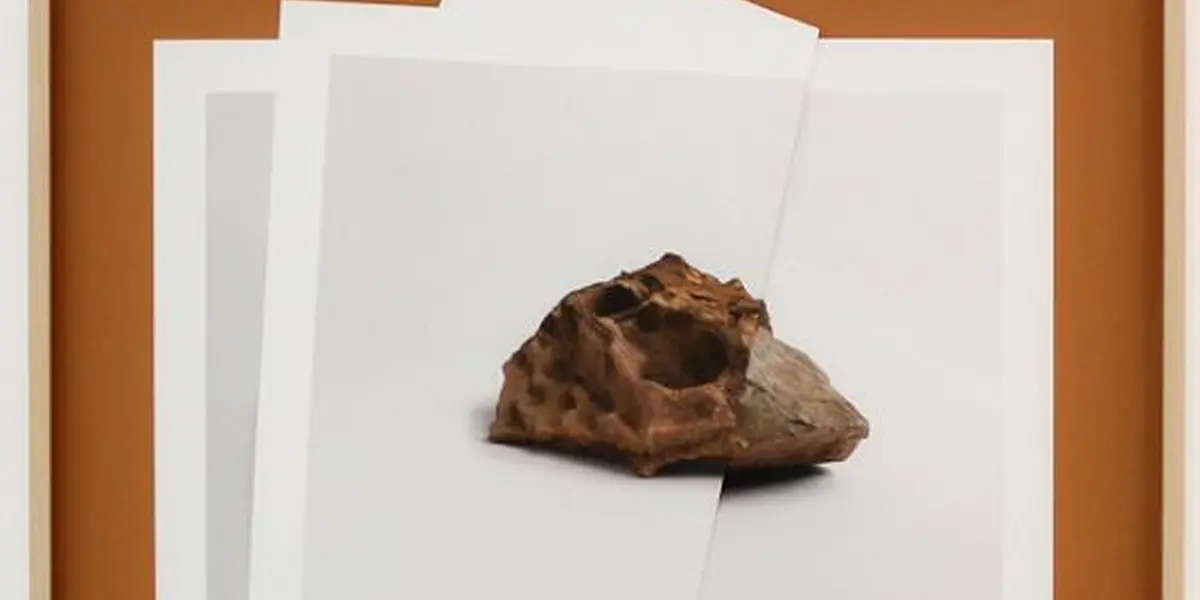 Settled, exposition de photographie à La Filature de Mulhouse