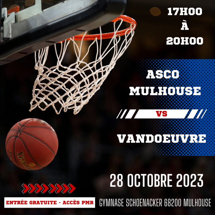 Match Compétition Handibasket