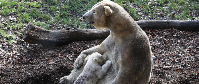 Le plein d'animations au Zoo