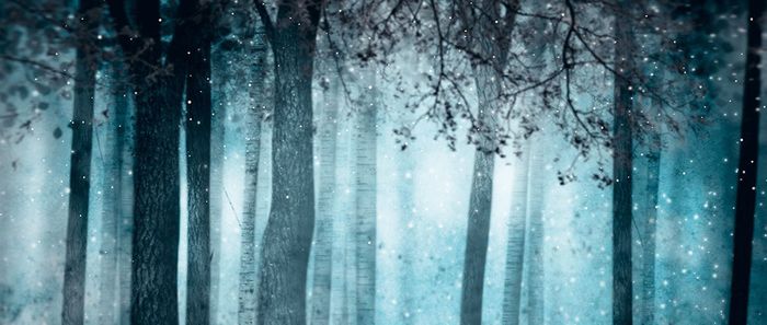 Opéra du Rhin: La reine des neiges