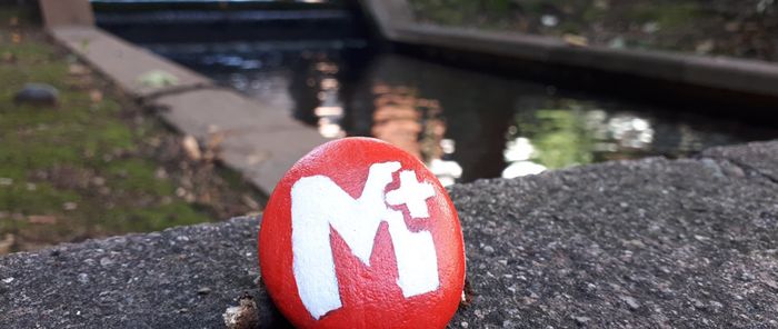 Un caillou customisé du logo de M+ et caché du coté du Jardin des senteurs.